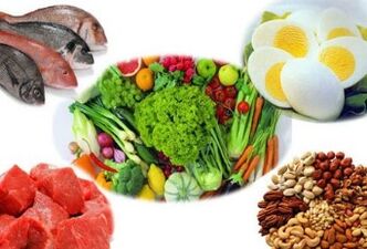 Urtxintxa-beloaren dieta